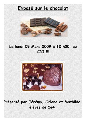 Exposé sur le chocolat