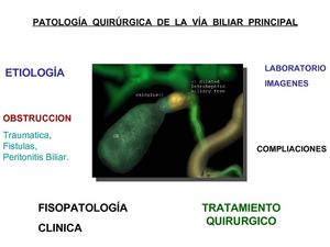 Patología Biliar