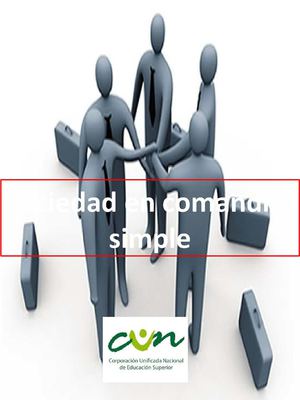 EMPRESA SOCIEDAD EN COMANDITA SIMPLE empresa sociedad en comandita simple: