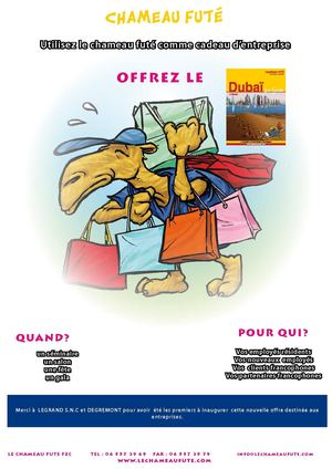 DUBAI : chameau futé le seul guide pour vous francophones