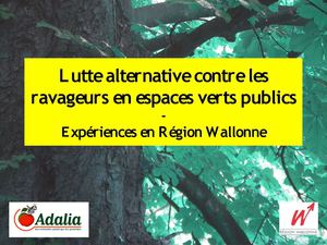 Lutte alternative contre les ravageurs - asbl Adalia