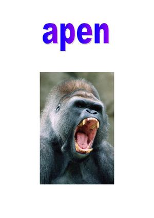 Werkstuk Apen van Vera