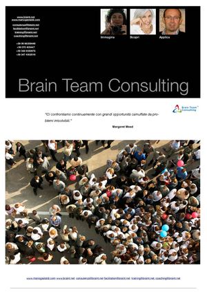 Brain Team Consulting