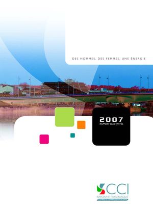 CCI Bayonne Pays Basque - Rapport d'activité 2007