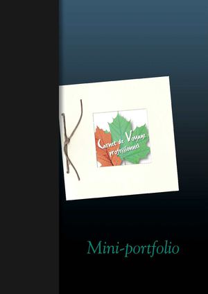 Mini-portfolio