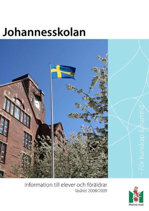 Information till elever och föräldrar läsåret 2008/2009