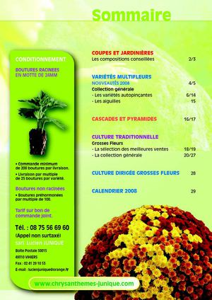 Catalogue Chrysanthèmes Junique