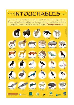Brochure animaux intouchables en République du Congo