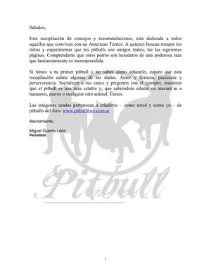 Consejos y Recomendaciones para educar a tu perro pitbull