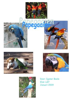 Werkstuk papegaaien