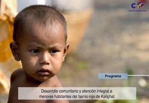Programa New Light