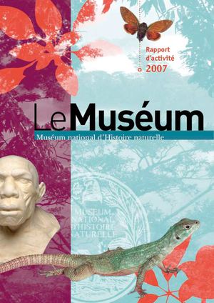 Rapport d'activité 2007