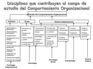 el comportamiento organizacional