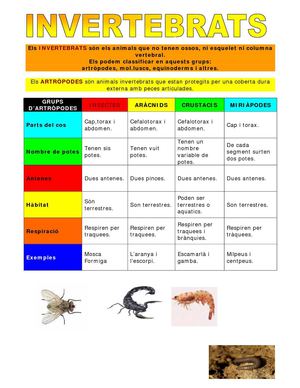 Els invertebrats (grup A1)