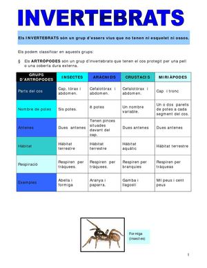 Els invertebrats (Grup B2)