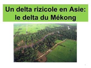 Un paysage rural: le delta du Mékong