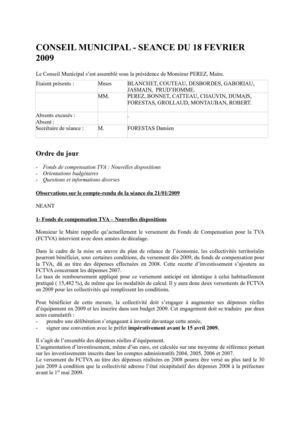 Conseil Municipal du 18 févirer 2009