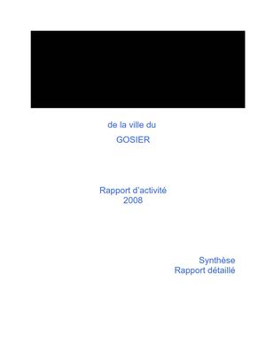 Cyber Base rapport d'activité 2008