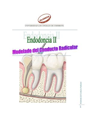 Conformacion de Conductos