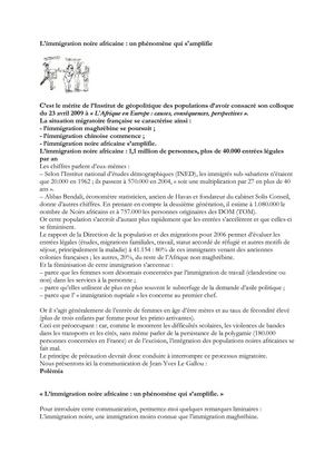 L'immigration noire africaine : un phénomène qui s'amplifie