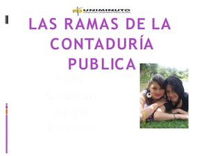 Ramas de la Contaduria Publica 