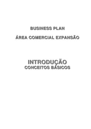Introdução Business Plan Área Comercial By Santiago Kremer 