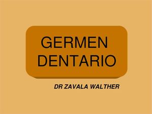 GERMEN DENTAL