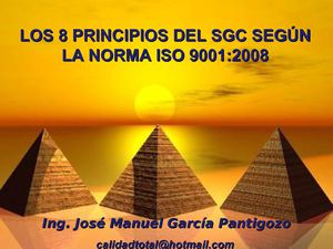 LOS 8 PRINCIPIOS DEL SISTEMA DE GESTION DE LA CALIDAD ISO 9001:2008