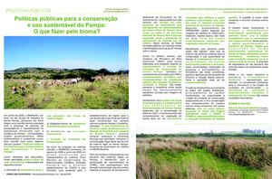 Políticas públicas para a conservação e uso sustentável do Pampa: O que fazer pelo bioma? 