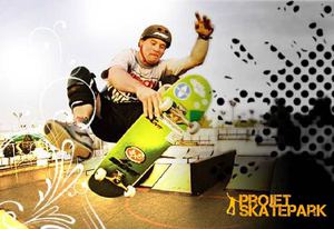 Projet Skatepark - Dossier d'information