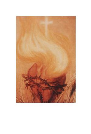 EN LAS FUENTES DE MI DIVINO CORAZON I