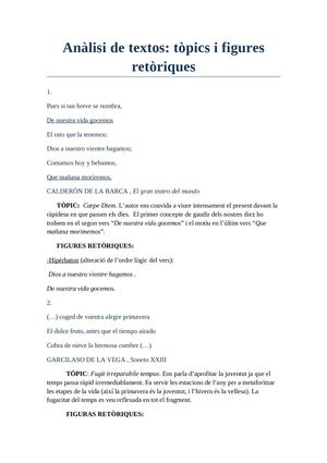 Anàlisi dels tòpics i les figures retòriques