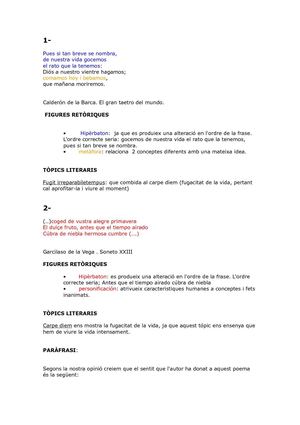 TREBALL FIGURES RETÒRIQUES