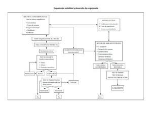 Esquema de viabilidad y desarrollo de un producto