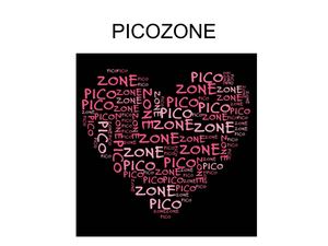 Picozone boekje maken