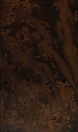 El Bernardo, poema heroyco, tomo 1