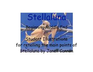 Stellaluna Retelling through Pictures
