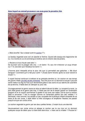 dans lequel on parle de la Dame Blanche