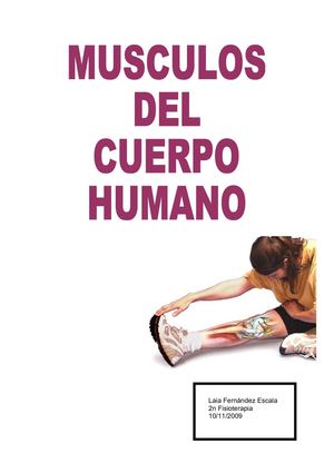 musculos del cuerpo humano