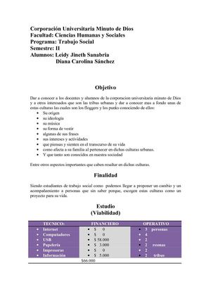 PROYECTO Tribus Urbanas (Punks y Floggers)