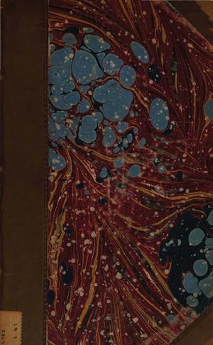 Ueber die vierfache Wurzel des Satzes vom zureichenden Grunde: Eine philosophische Abhandlung