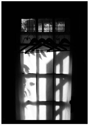 Une journée à la fenêtre