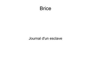 Journal d'un esclave