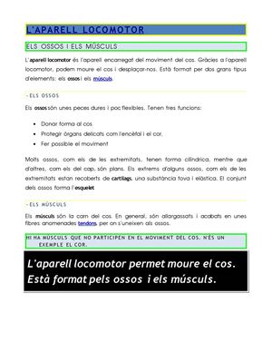 Apunts de l'aparell locomotor