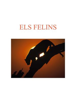 ELS FELINS