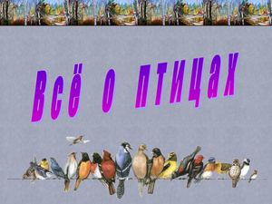 Птицы. Всё о птицах.