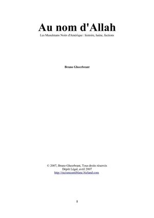 Les Musulmans Noirs d'Amérique : histoire, haine, factions