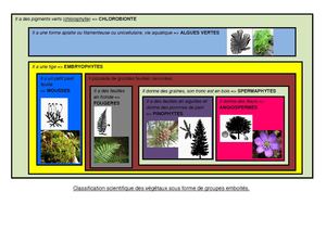 Classification générale des végétaux