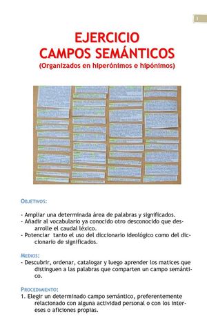 CAMPOS SEMÁNTICOS - EJERCICIO - Hipónimos e hiperónimos