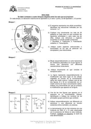 EXAMEN PAU BIOLOGIA